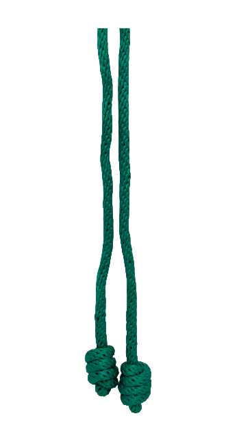Cingulo