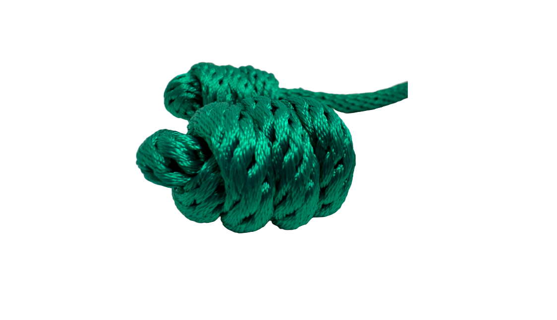 Cingulo