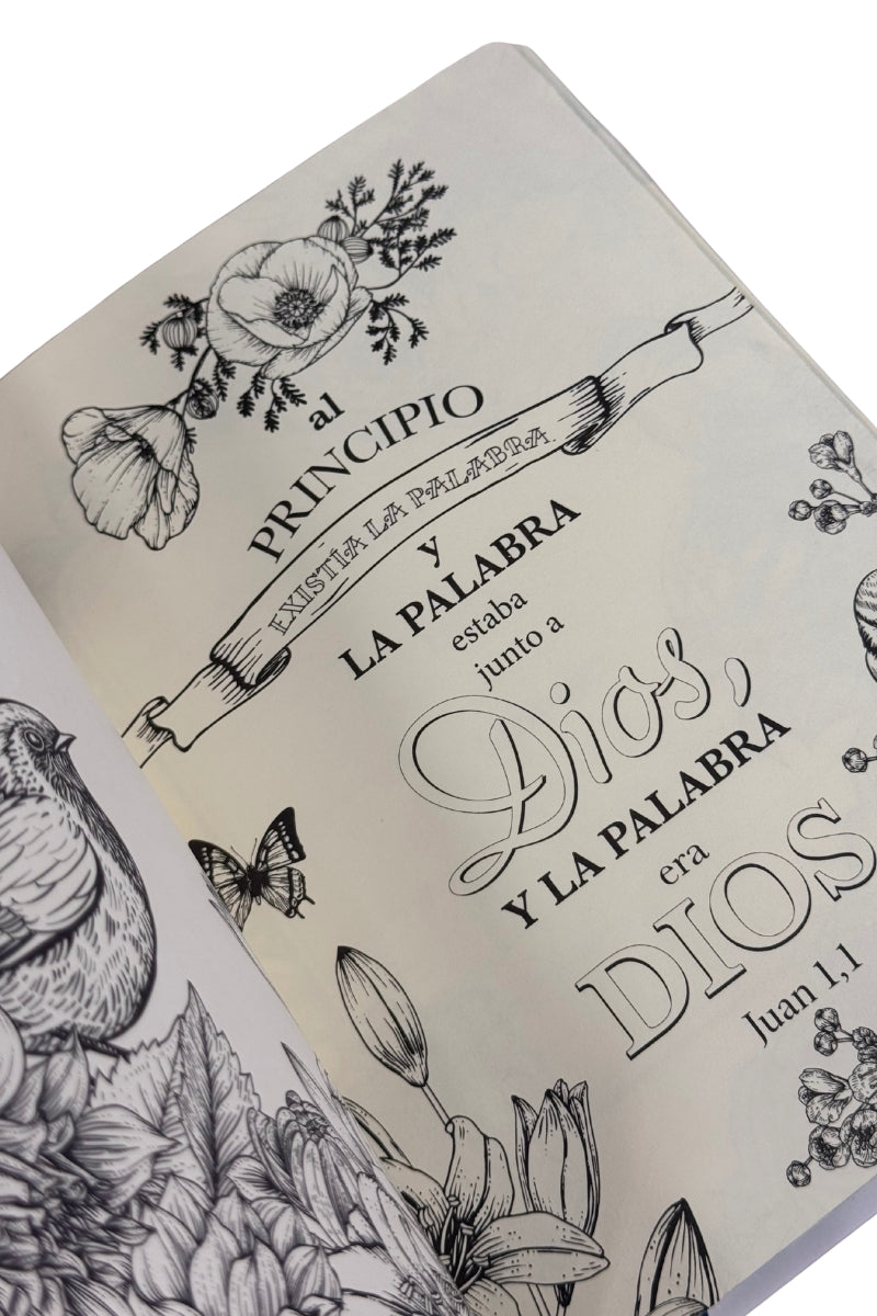 La Biblia del Peregrino